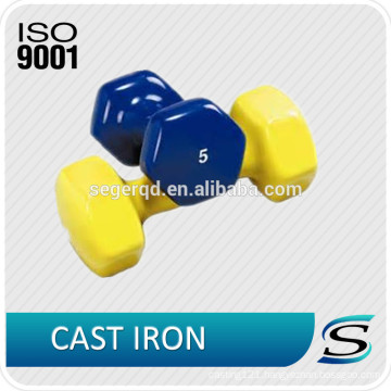 Portable dumbbells-cast iron vinyl coating small type